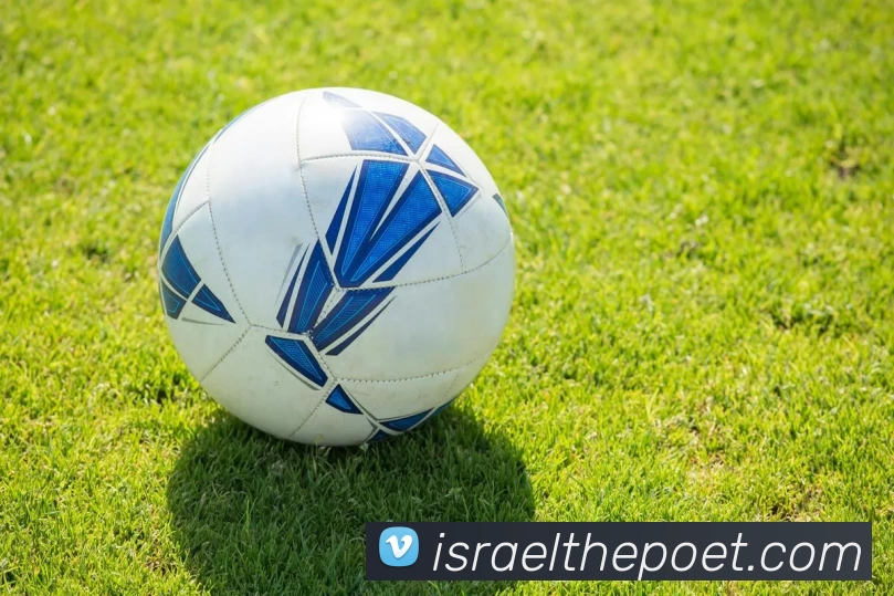 App 展示图